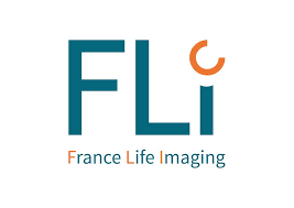 Fli_logo_301.jpg